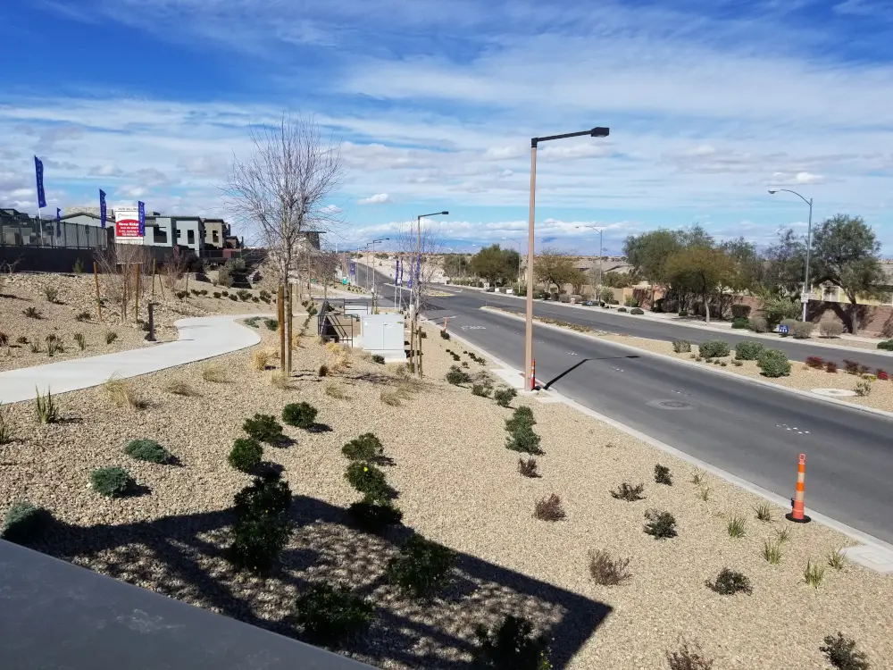 Road Running in Las Vegas