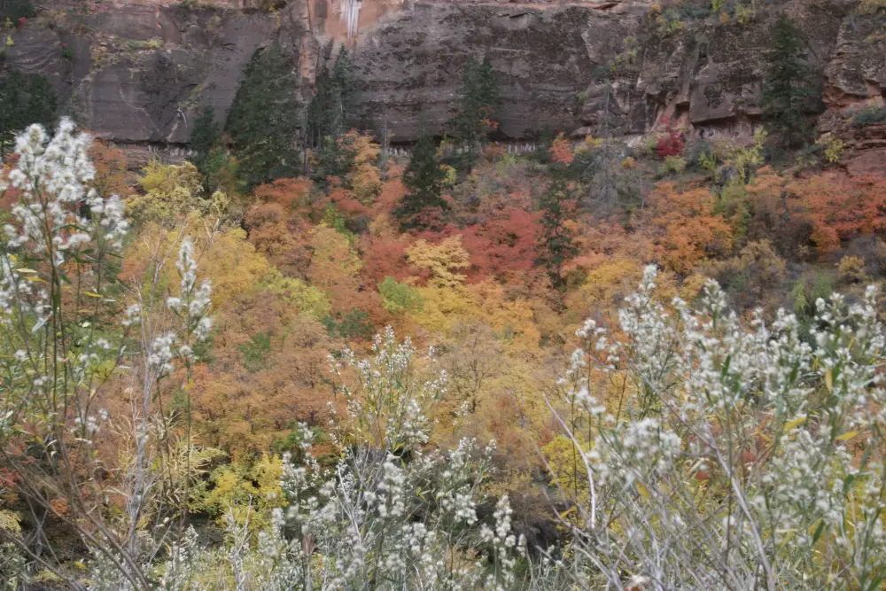 The fall is a great time for a Las Vegas to Zion Road Trip