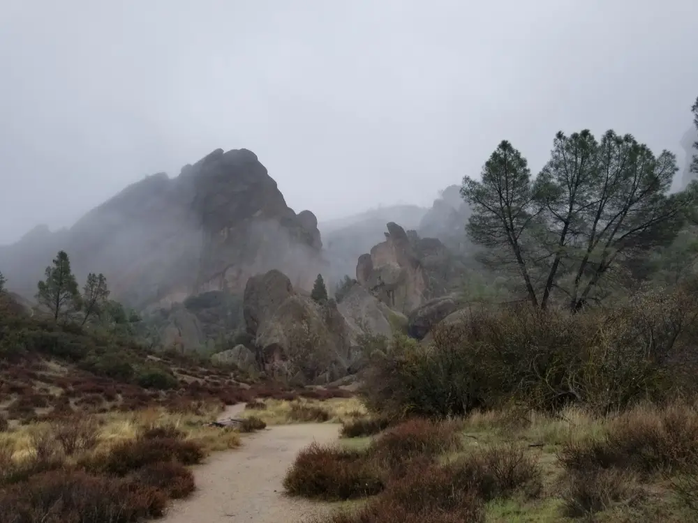 A rare photo of Pinnacles National Park in the mist