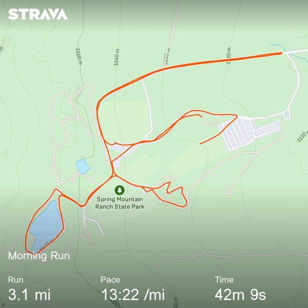 strava4126329364992838410
