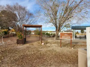 Orchard at Floyd Lamb Park
