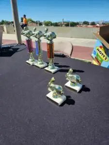 Funny Bunny Race 2026 Trophies